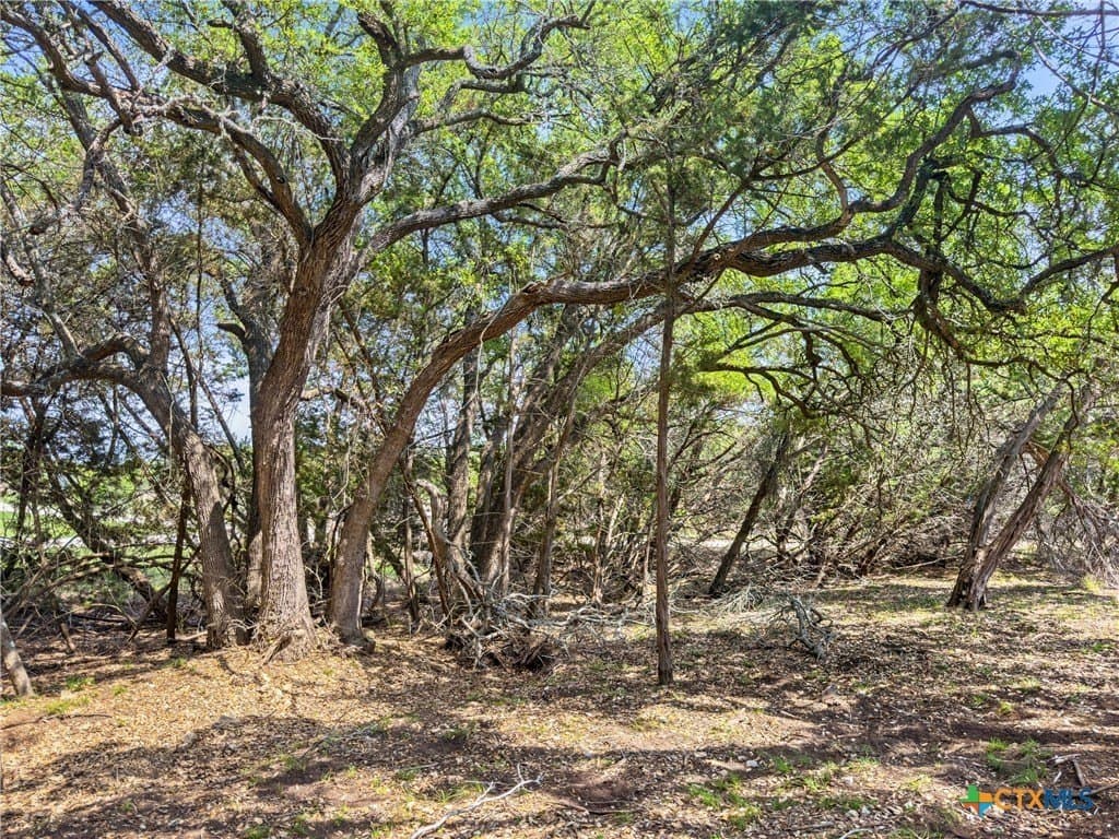5.11 acres in Blanco County - photo 9