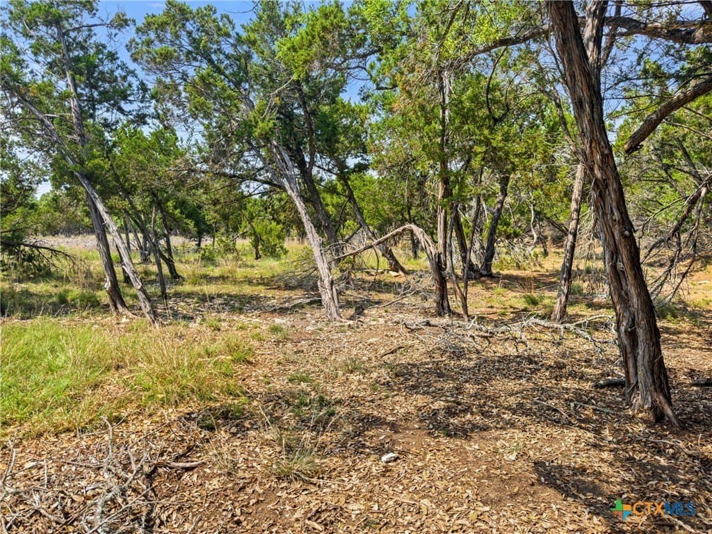 5.11 acres in Blanco County - photo 10