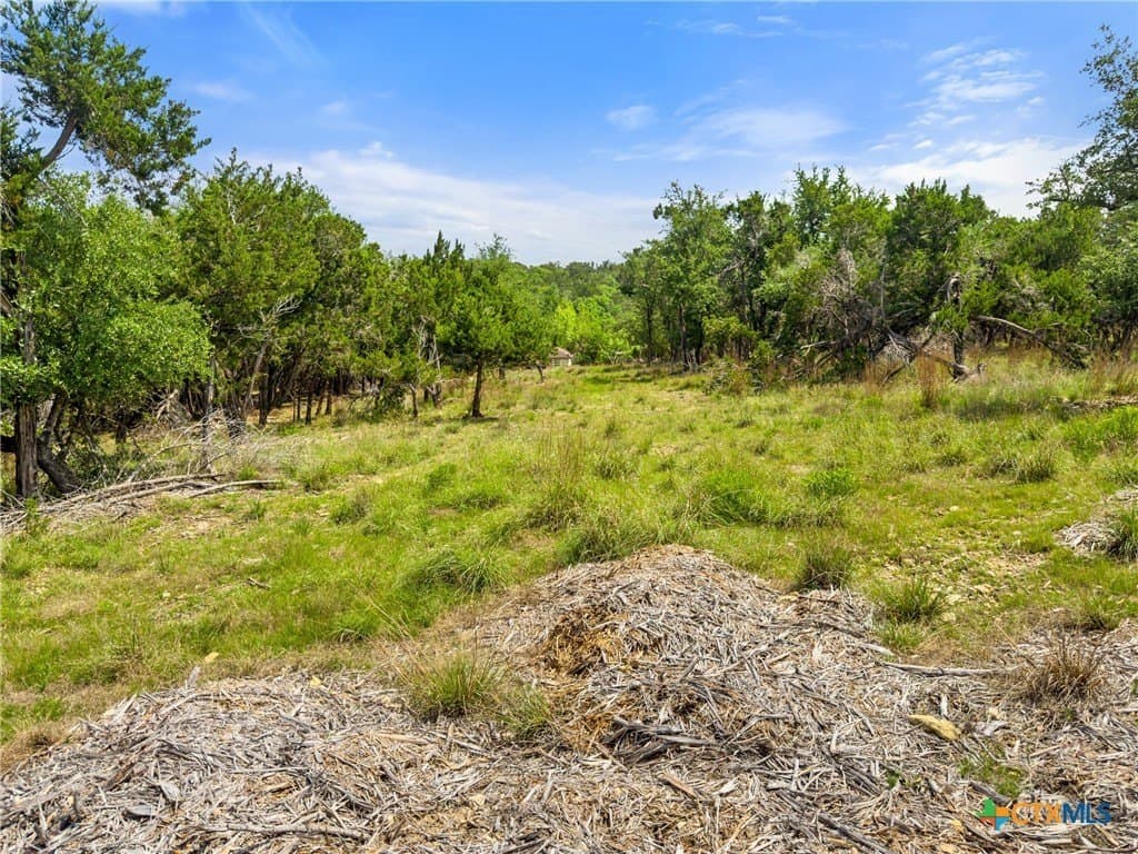 5.11 acres in Blanco County - photo 13