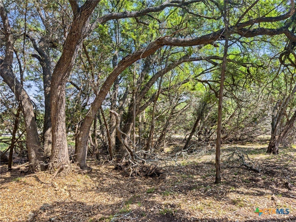 5.11 acres in Blanco County - photo 7