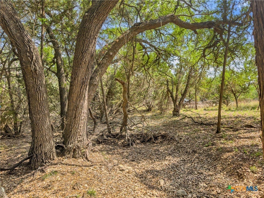 5.11 acres in Blanco County - photo 23
