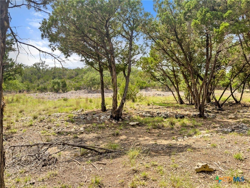 5.11 acres in Blanco County - photo 18