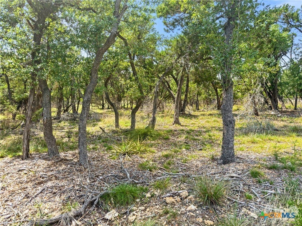 5.11 acres in Blanco County - photo 24