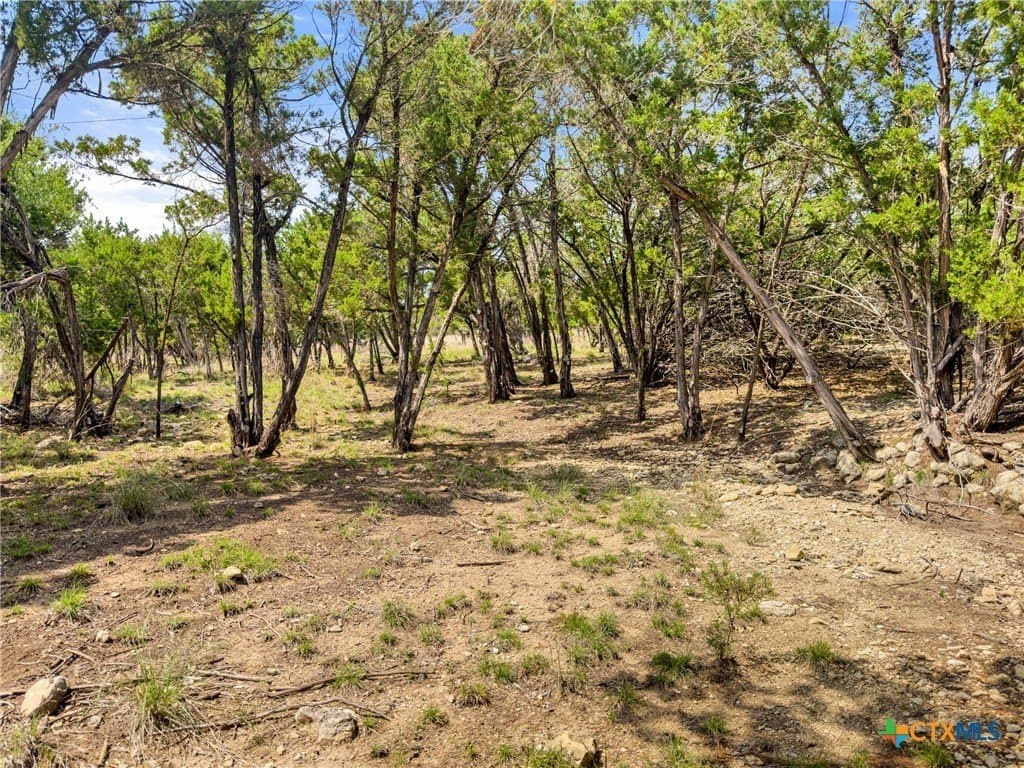 5.11 acres in Blanco County - photo 16