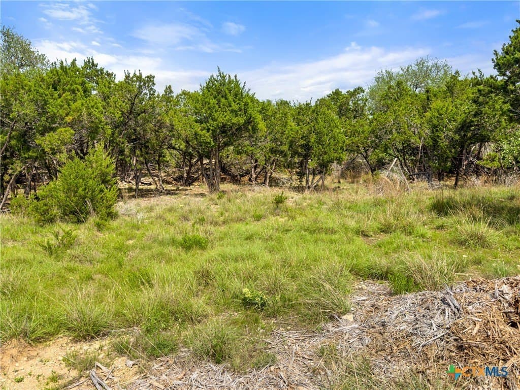 5.11 acres in Blanco County - photo 14
