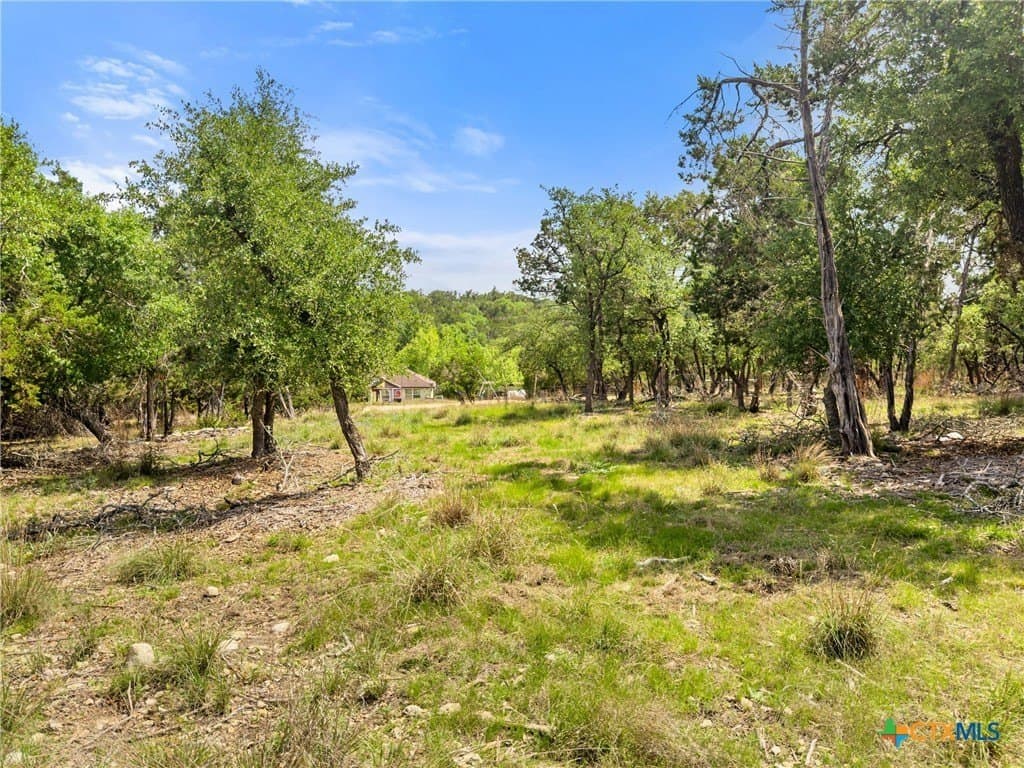 5.11 acres in Blanco County - photo 11