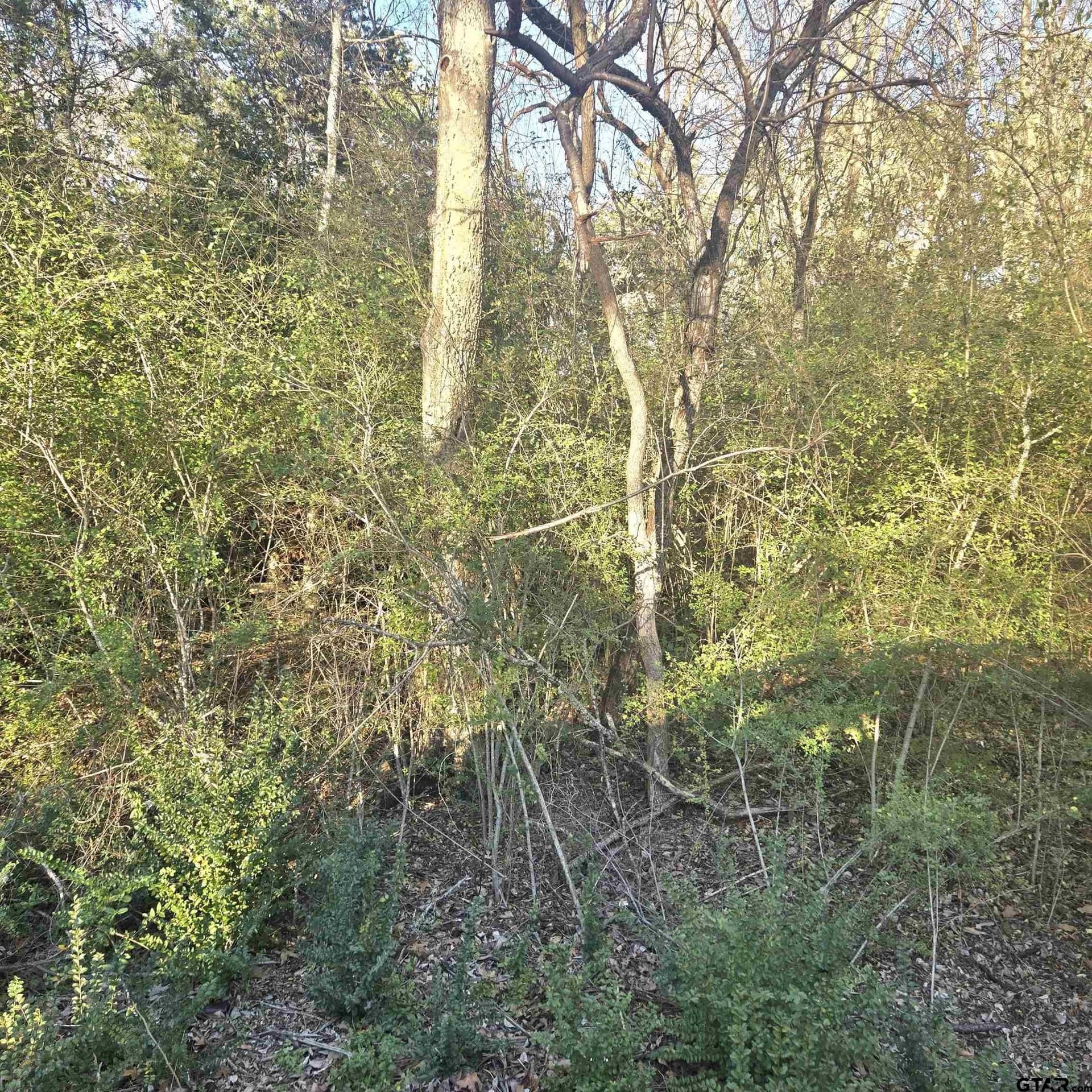 0.29 acres in Smith County
