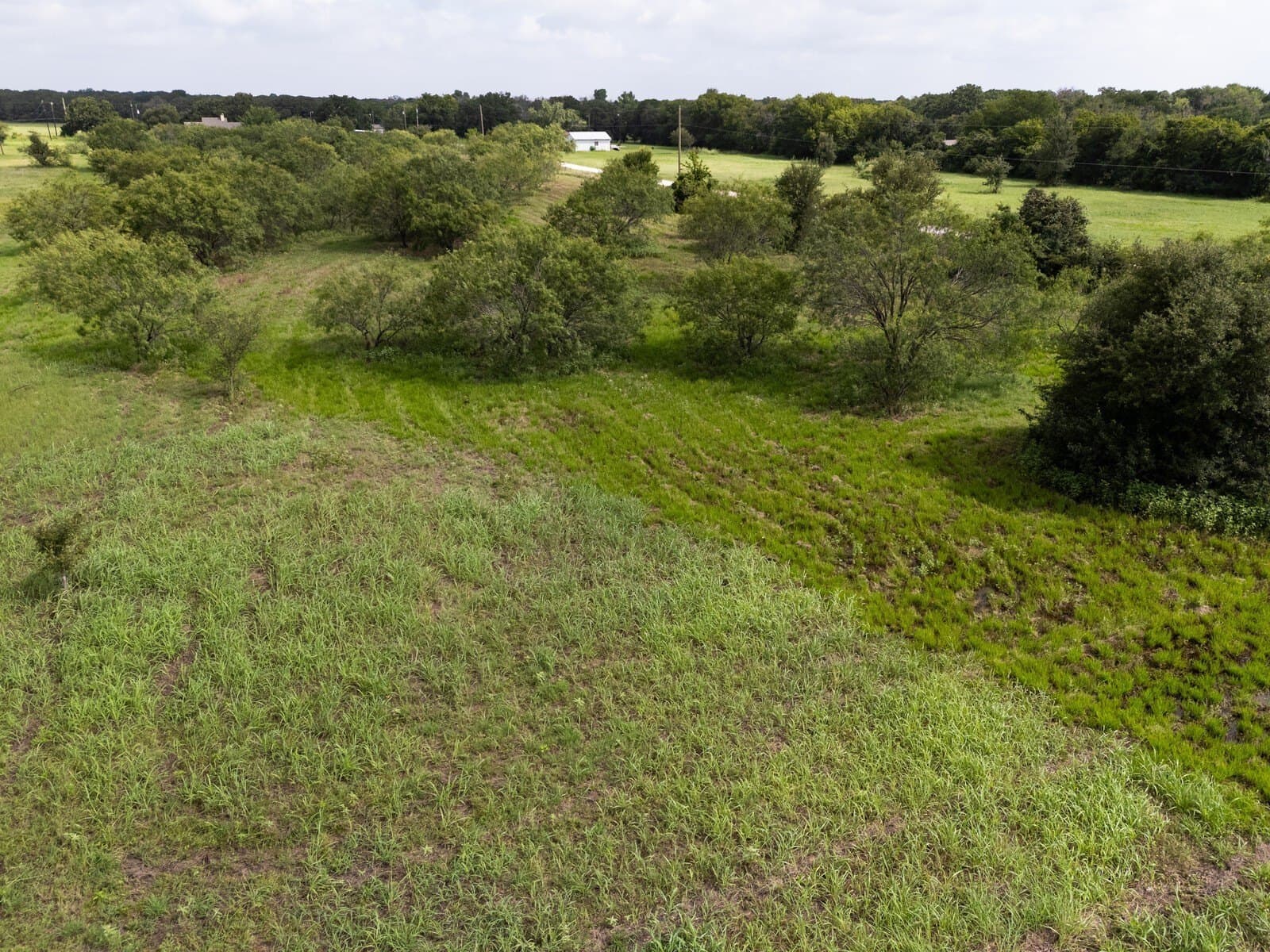 3.55 acres in McLennan County - photo 6