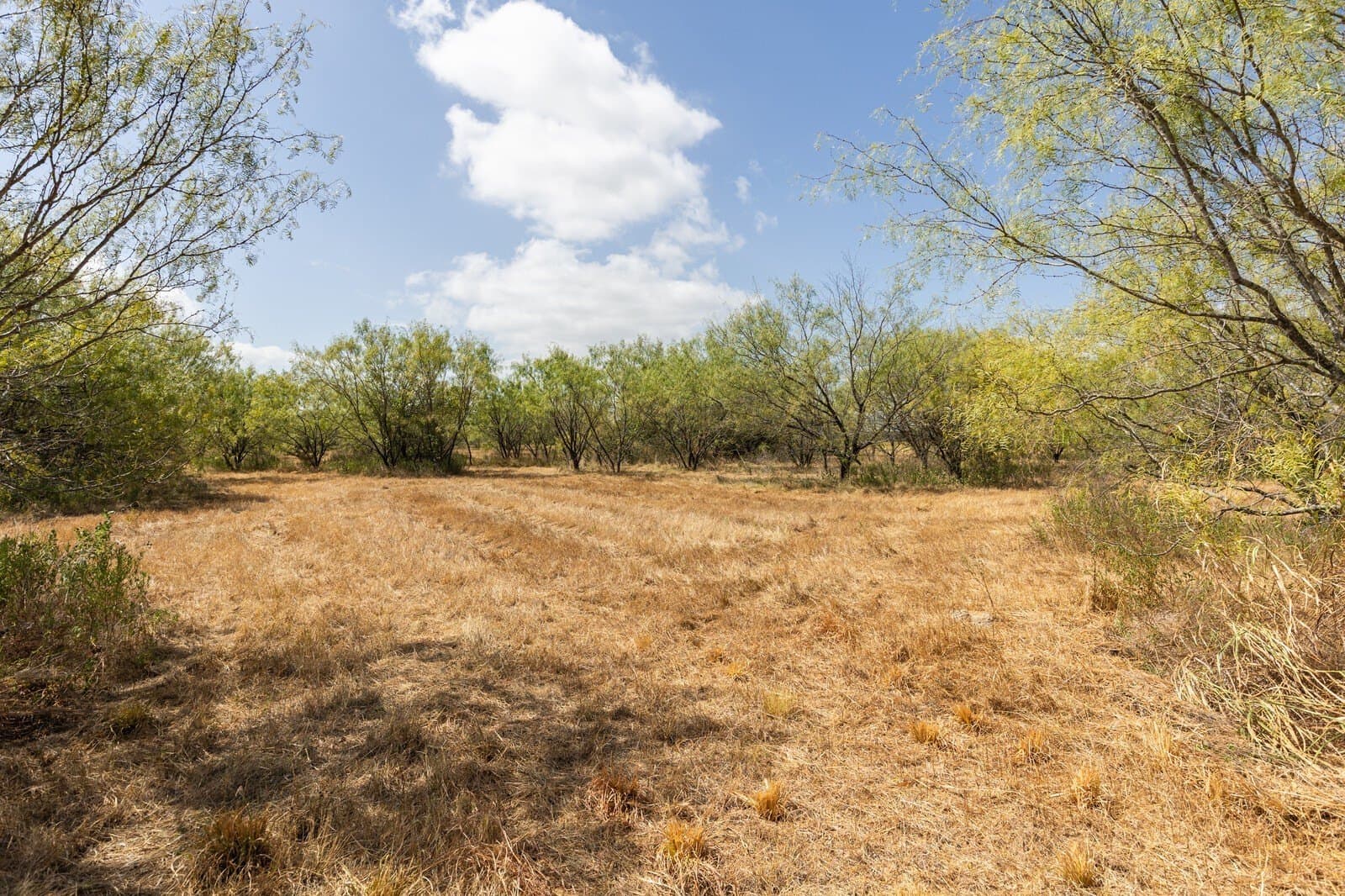 3.55 acres in McLennan County - photo 16