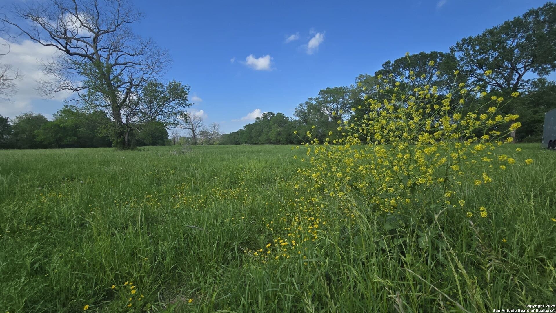 22 acres in Wharton County gallery image 4