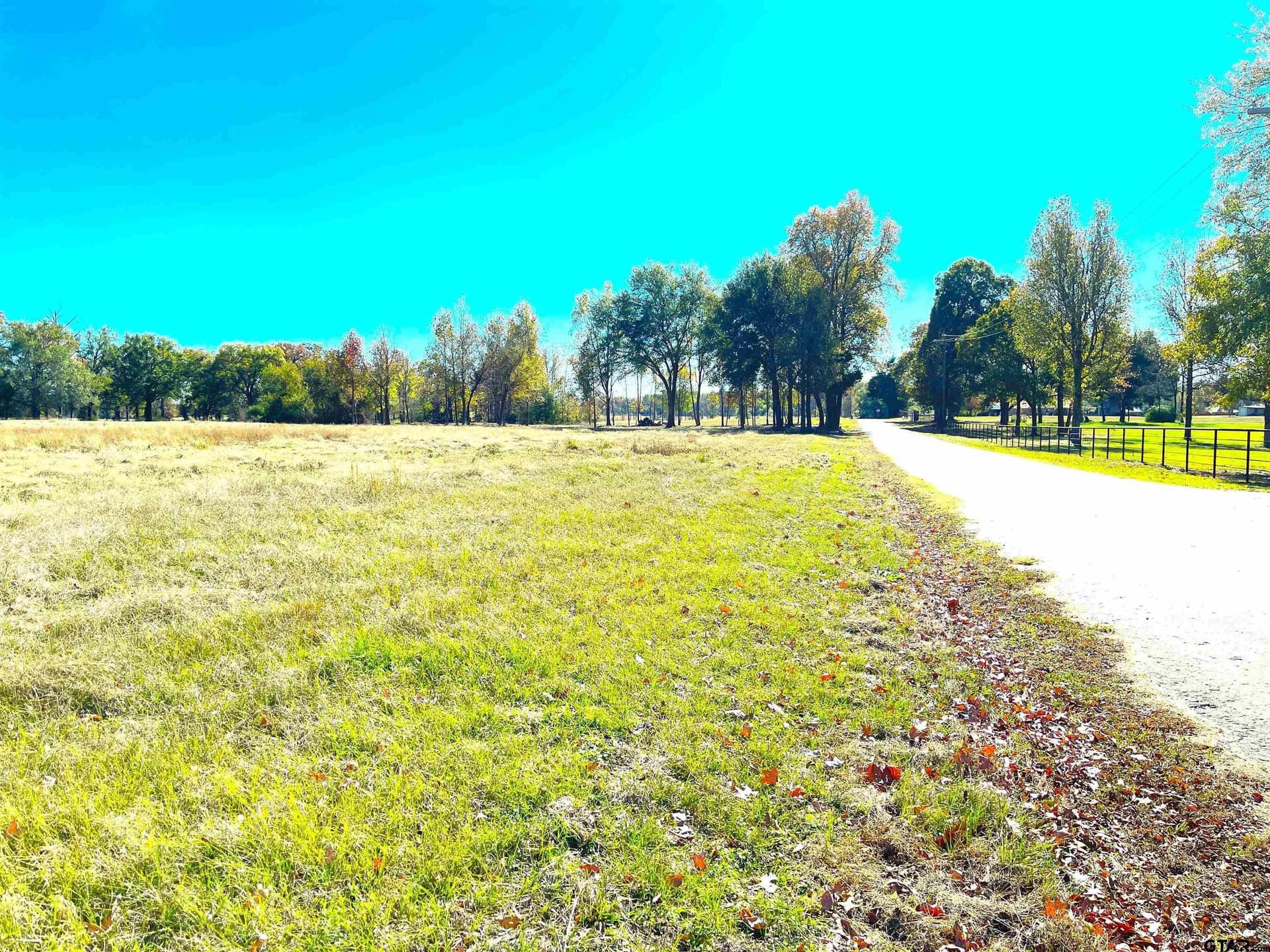 32.35 acres in Wood County gallery image 4