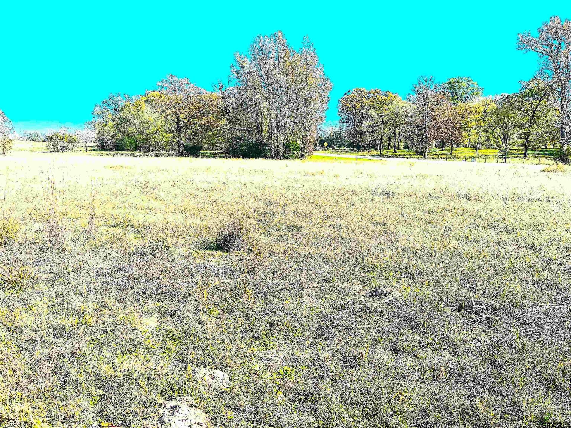 32.35 acres in Wood County featured view