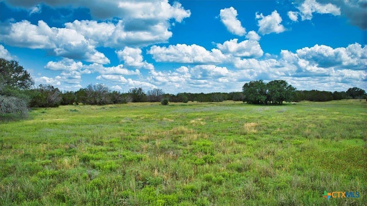 33.62 acres in Blanco County - photo 14