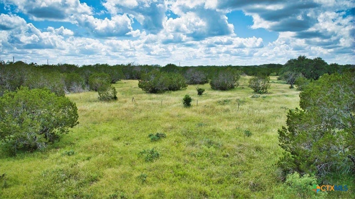 33.62 acres in Blanco County - photo 11