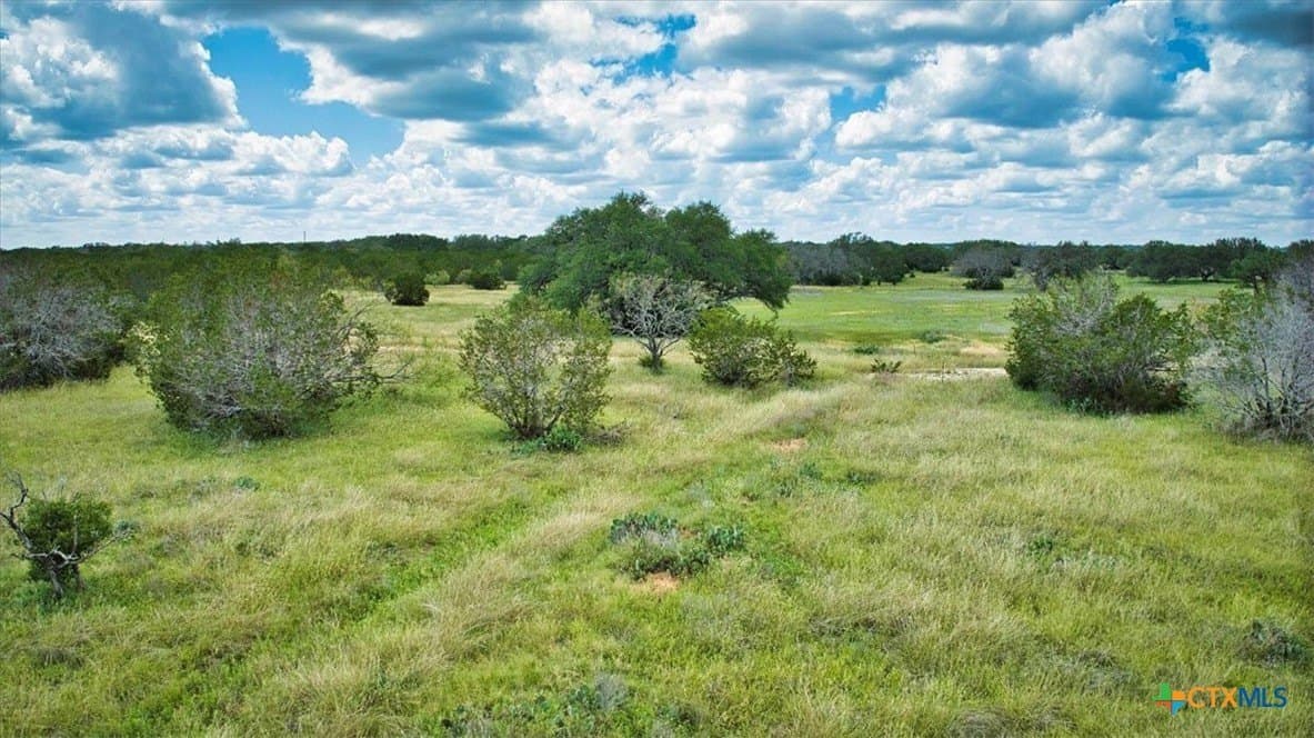 33.62 acres in Blanco County - photo 12