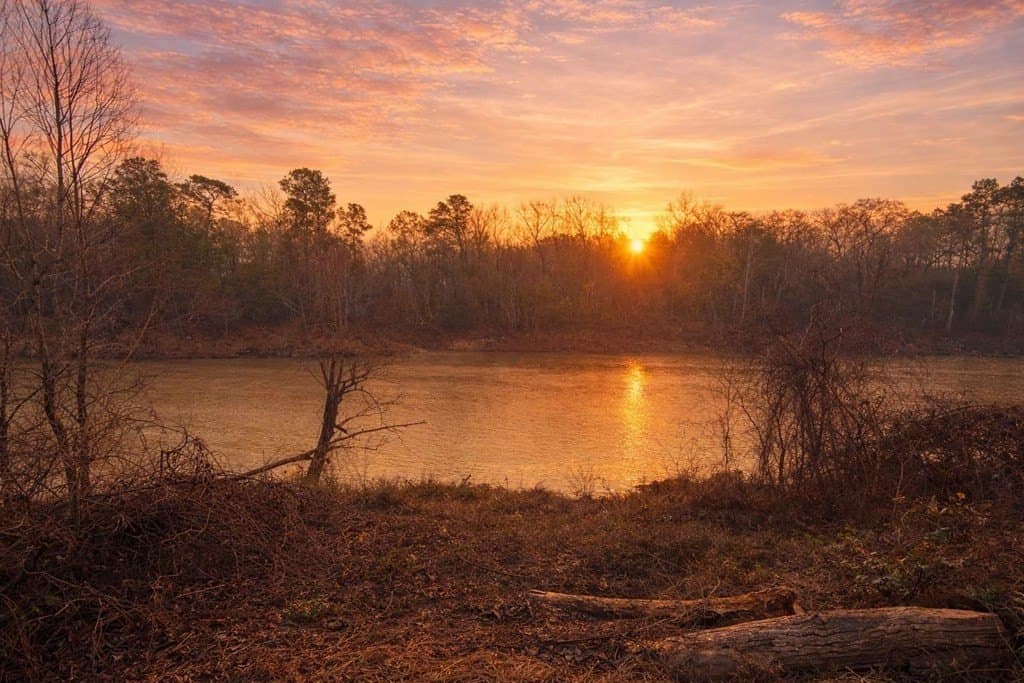 0.5 acres in Texas County gallery image 2