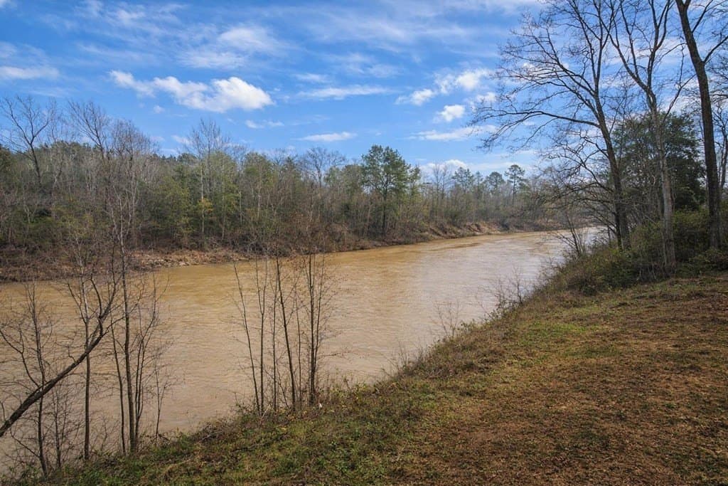 0.5 acres in Texas County - photo 10