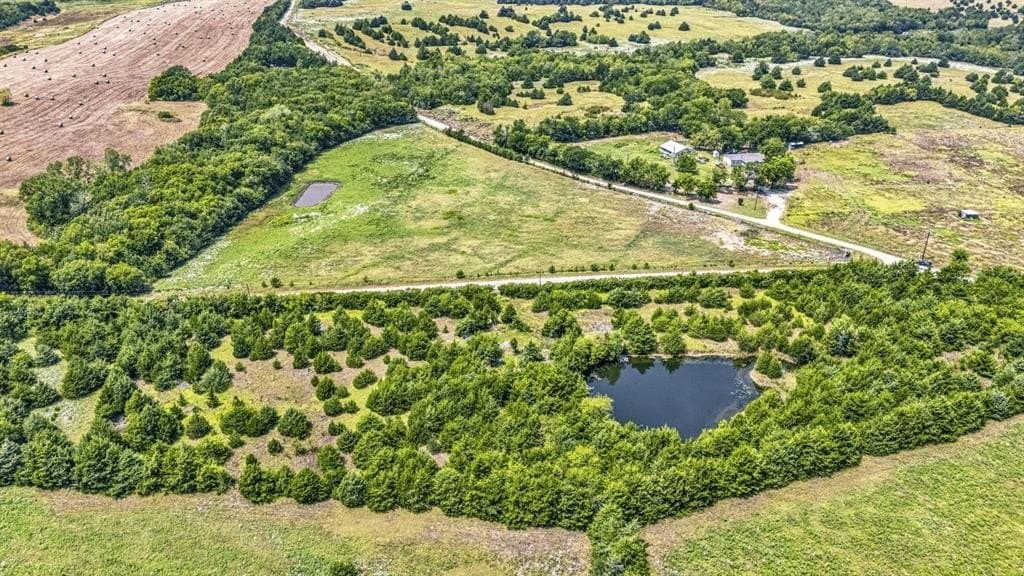 14.08 acres in Fannin County gallery image 4