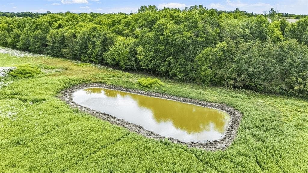 14.08 acres in Fannin County gallery image 3