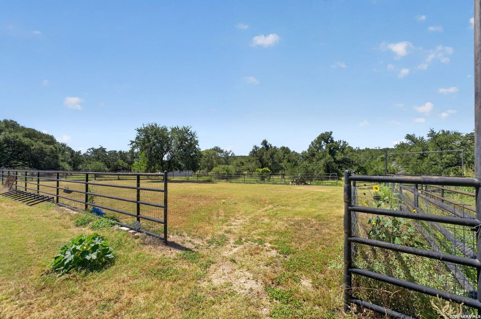 20.75 acres in Comal County - photo 34