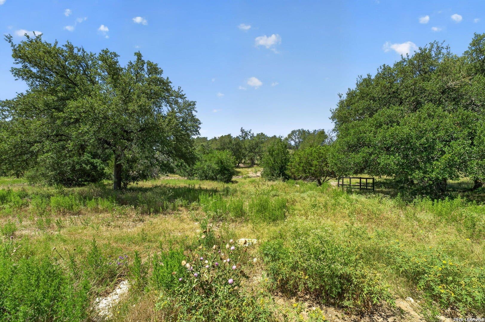 20.75 acres in Comal County - photo 35