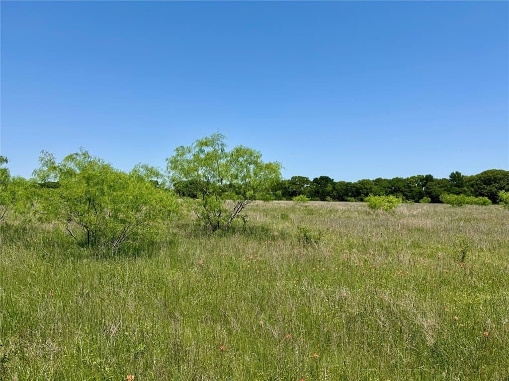 2.82 acres in McLellan County gallery image 4