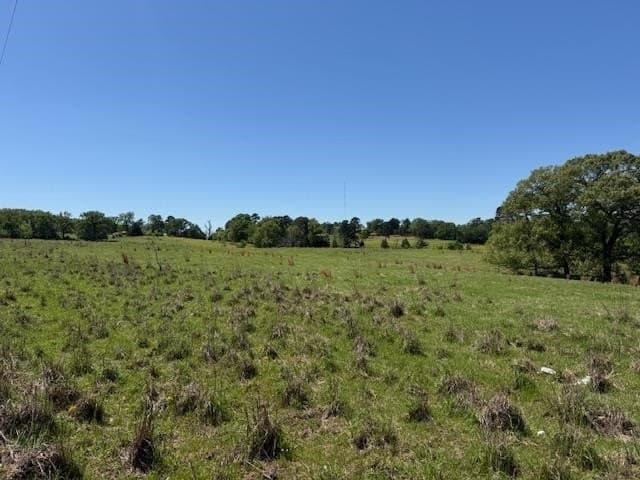 5 acres in Texas County - photo 4
