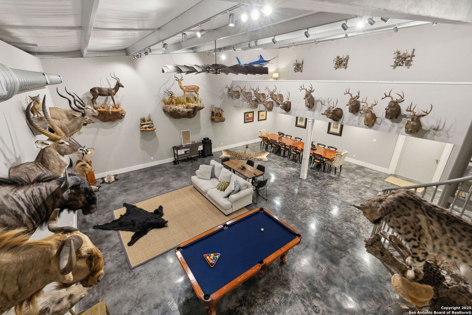12.07 acres in Guadalupe County gallery image 4