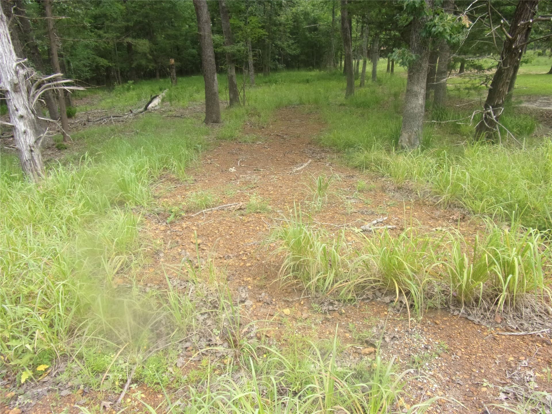 0.2 acres in Van Zandt County - photo 3