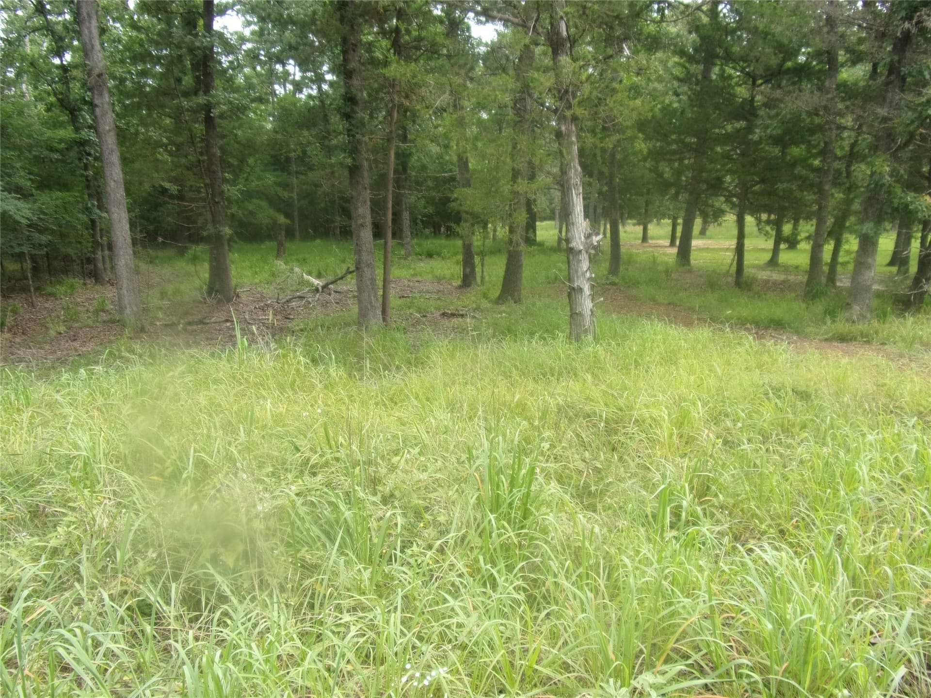 0.2 acres in Van Zandt County