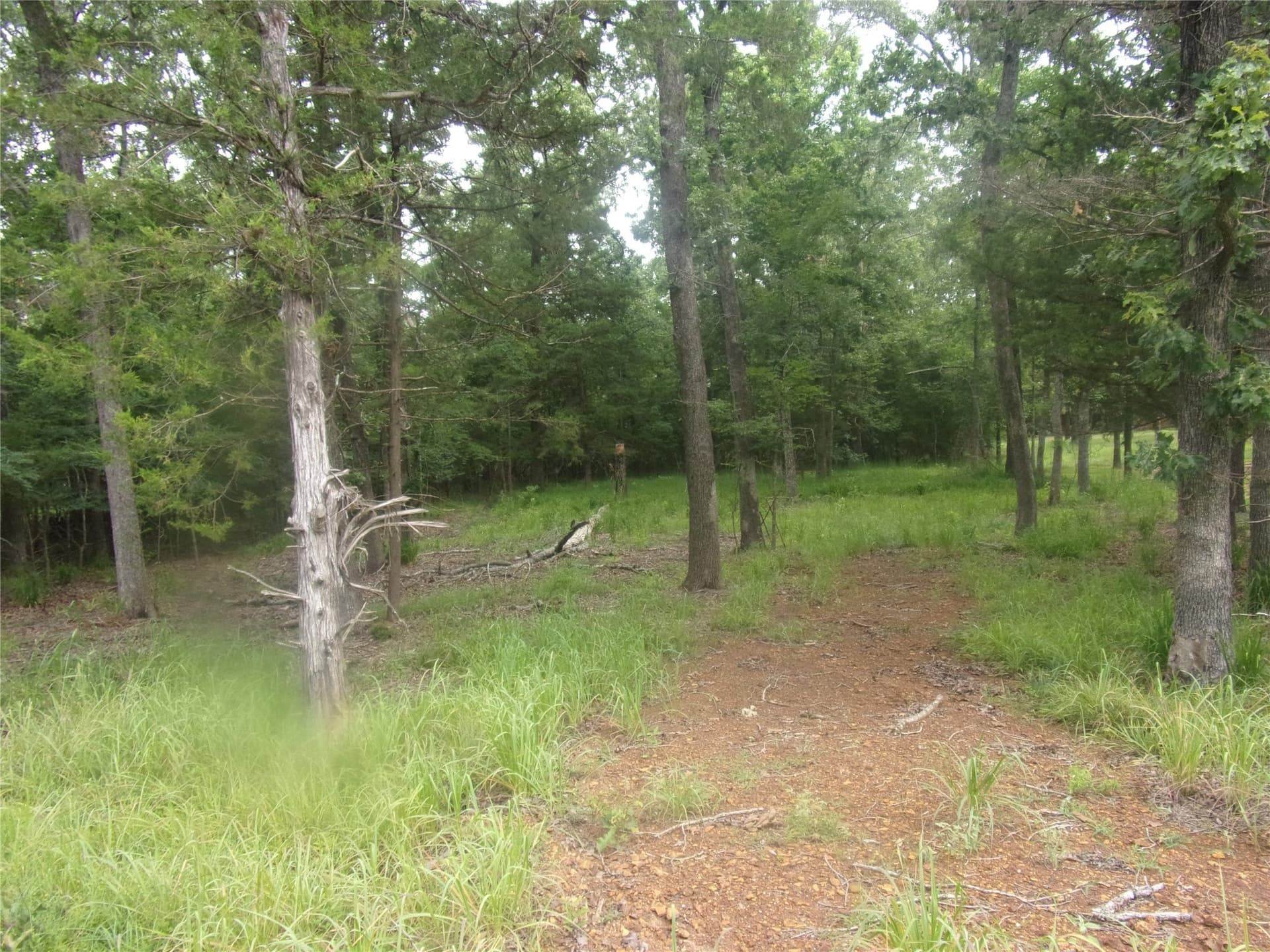 0.2 acres in Van Zandt County - photo 4