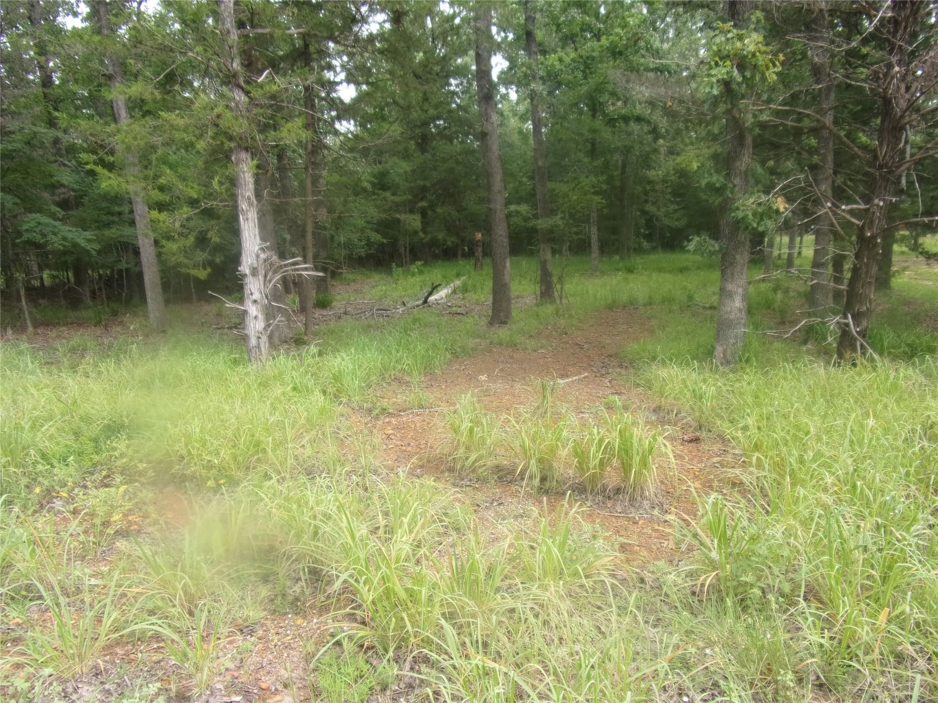 0.2 acres in Van Zandt County - photo 2