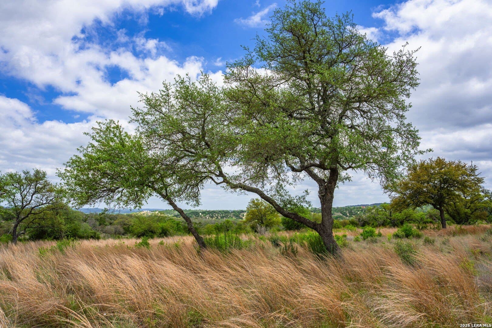 5.01 acres in Kerr County - photo 6