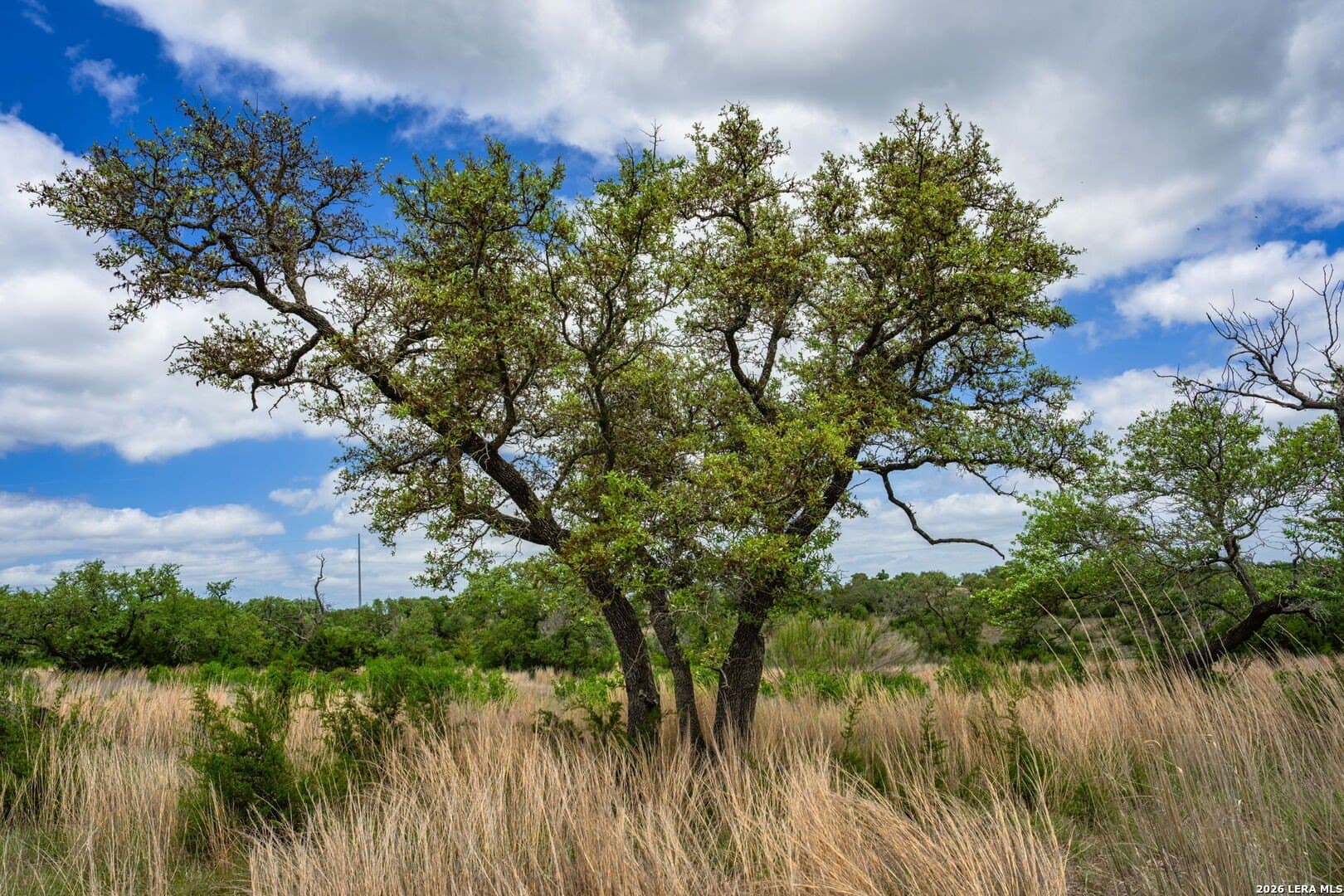 5.01 acres in Kerr County featured view