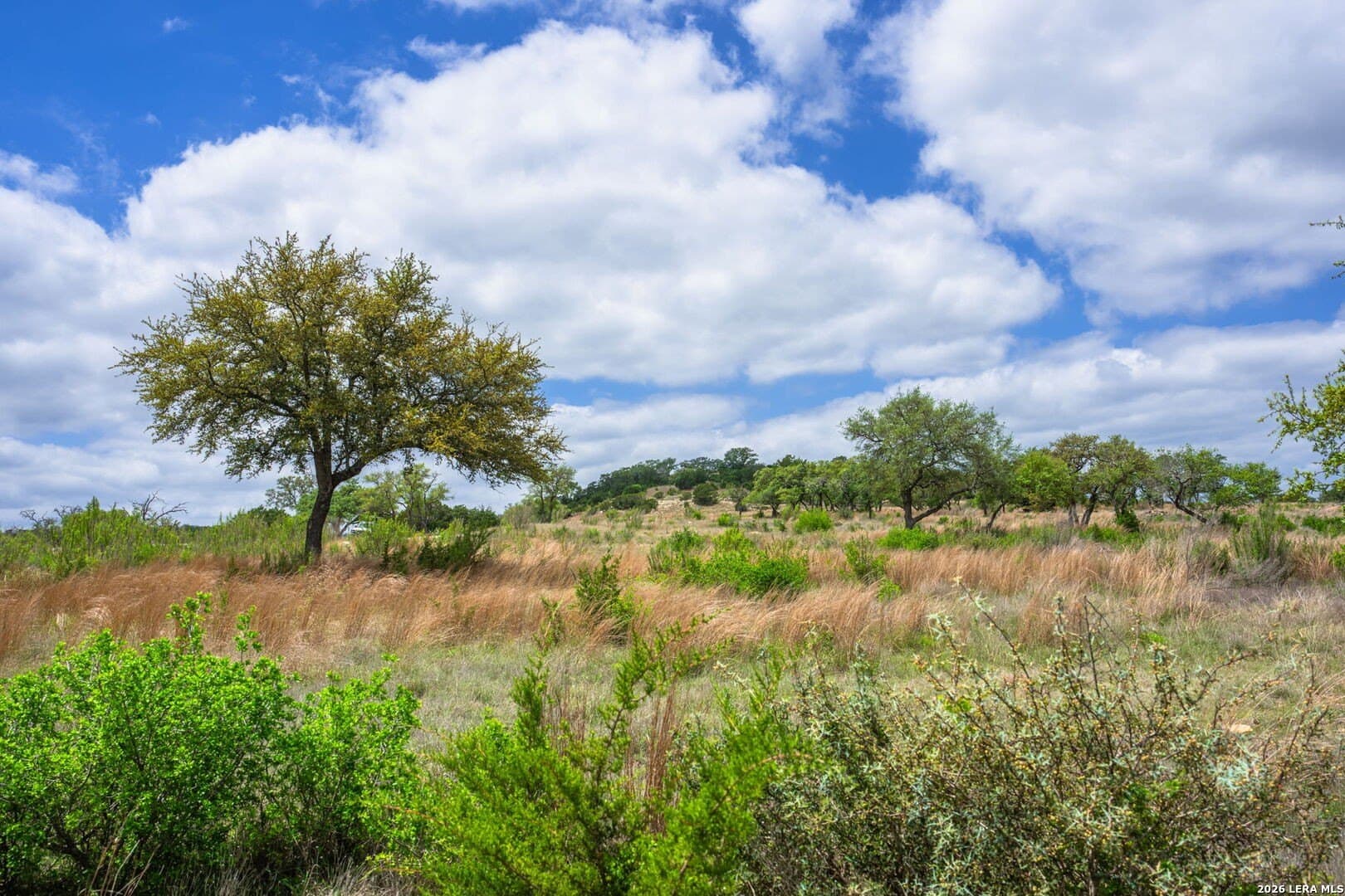 5.01 acres in Kerr County gallery image 2