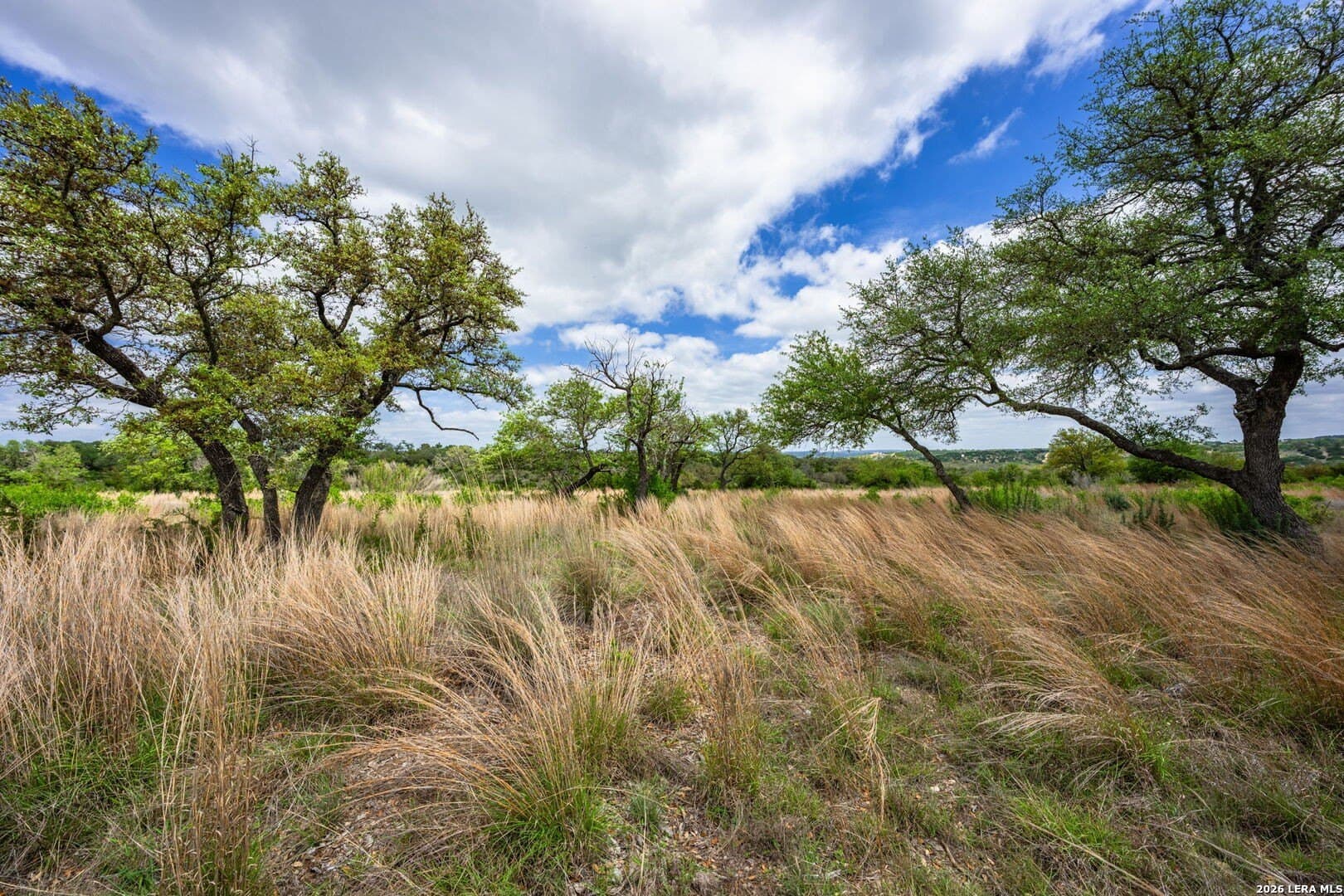5.01 acres in Kerr County gallery image 4