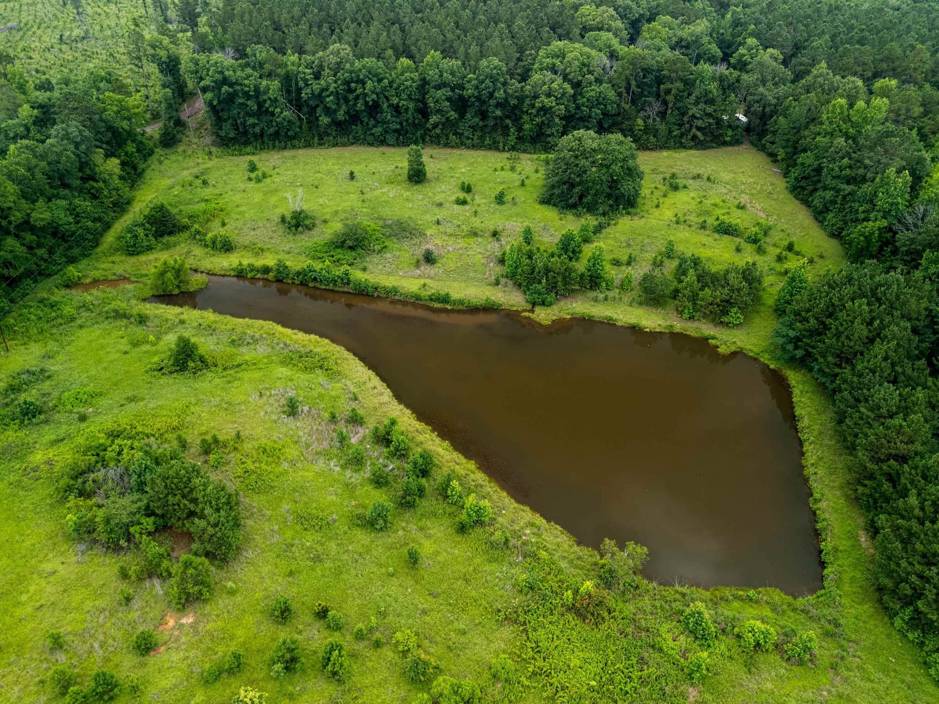 10.83 acres in Cass County - photo 44