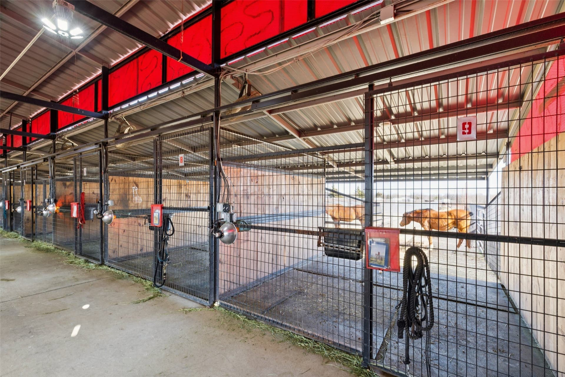 42.7 acres in Denton County - photo 12