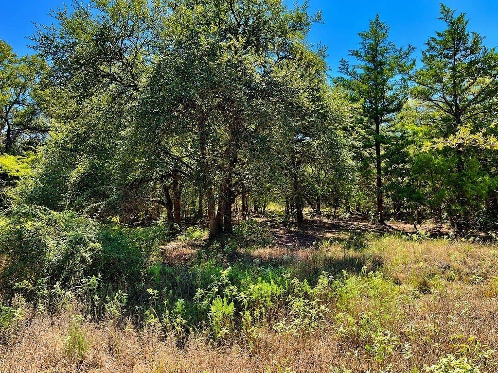 263.24 acres in Lavaca County - photo 21