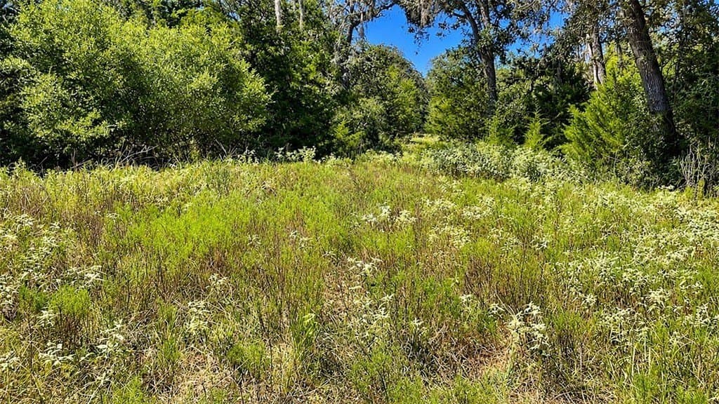 263.24 acres in Lavaca County - photo 11