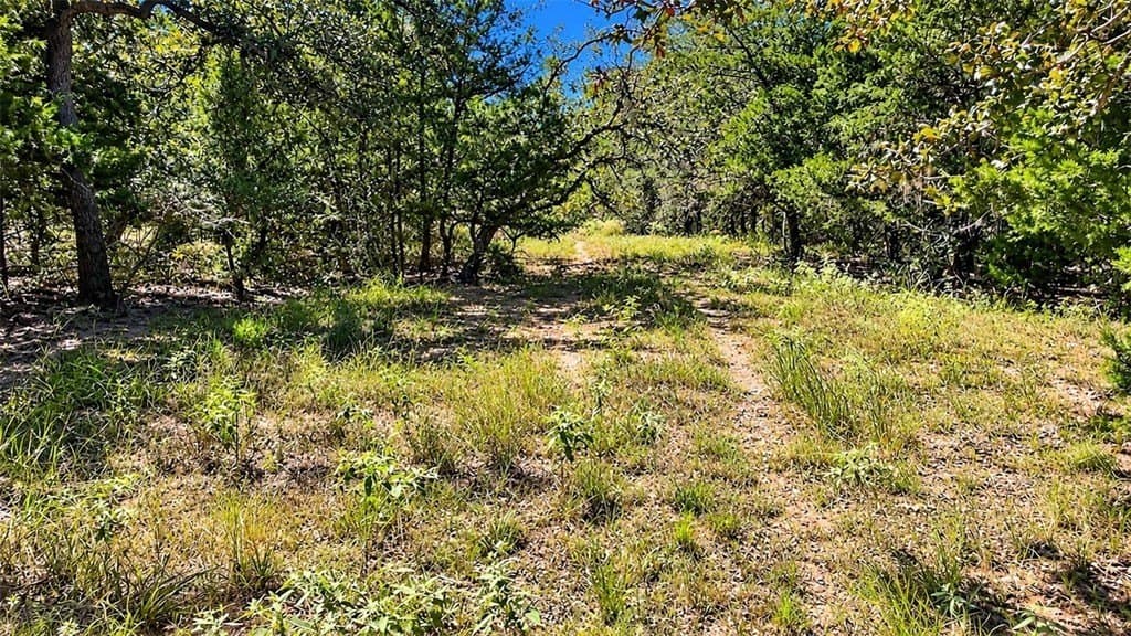 263.24 acres in Lavaca County - photo 19