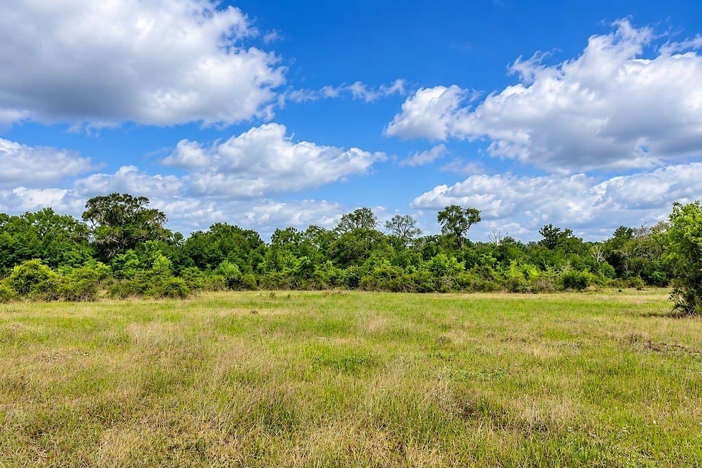 263.24 acres in Lavaca County - photo 7
