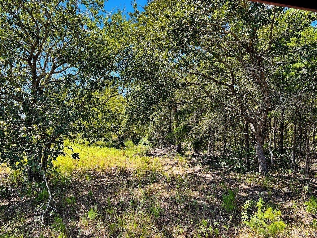 263.24 acres in Lavaca County - photo 15