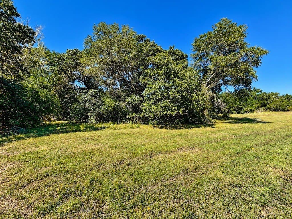 263.24 acres in Lavaca County - photo 6