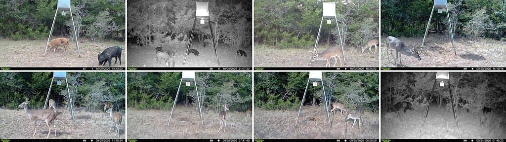 263.24 acres in Lavaca County - photo 25