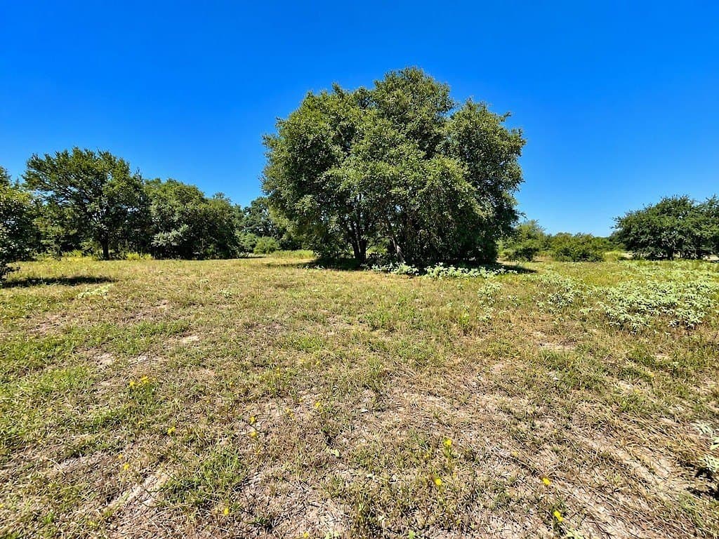 263.24 acres in Lavaca County - photo 3