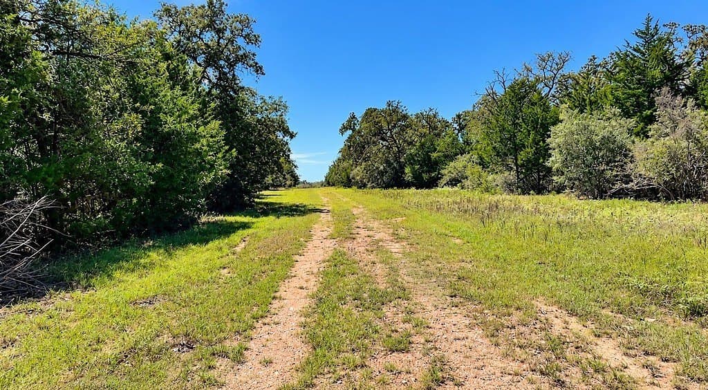263.24 acres in Lavaca County - photo 16