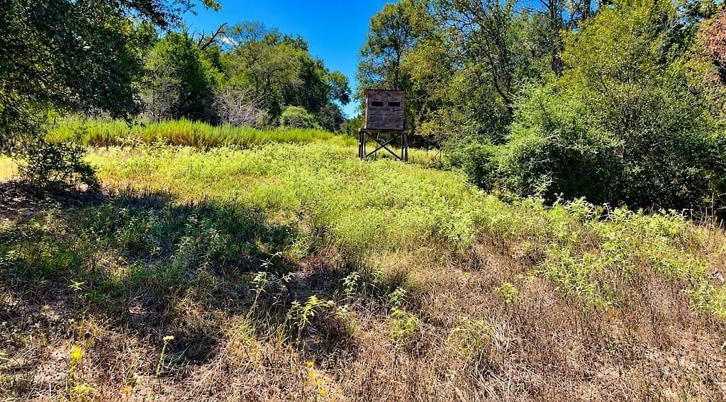 263.24 acres in Lavaca County - photo 17