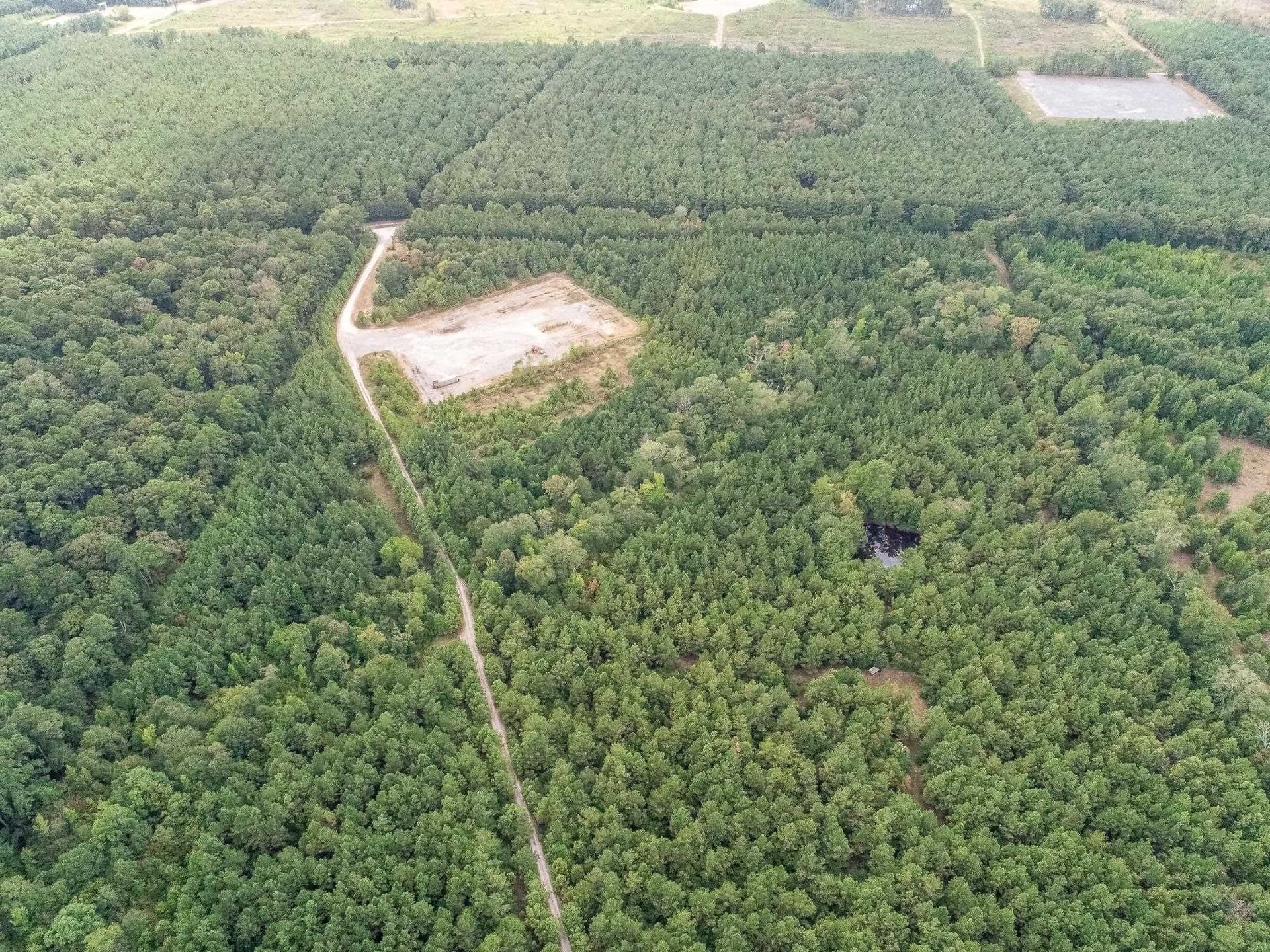 80 acres in Panola County - photo 4