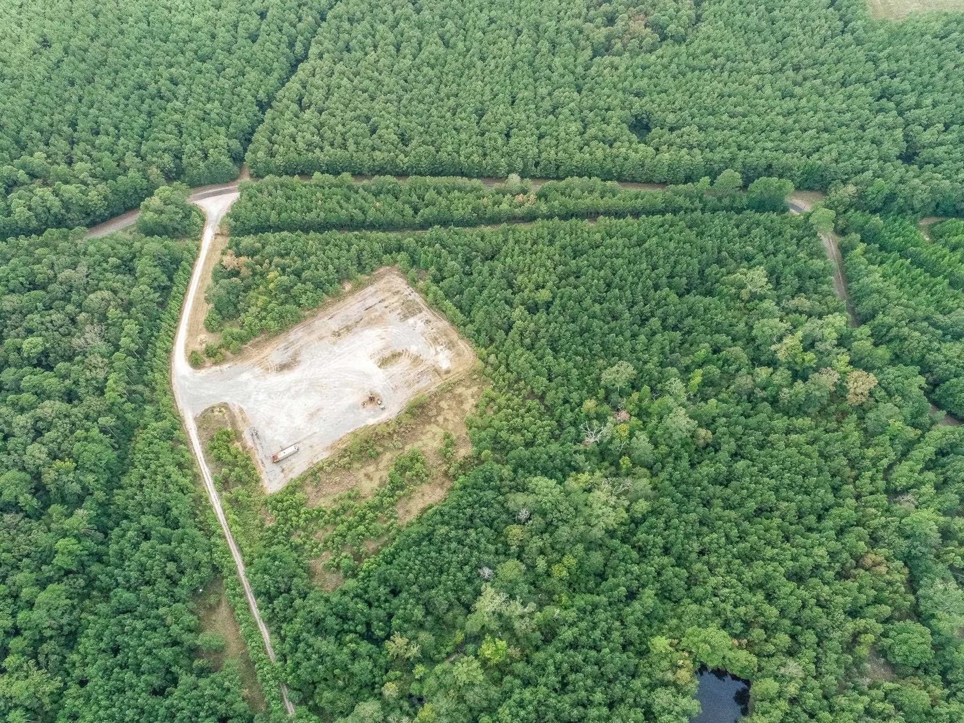 80 acres in Panola County - photo 5